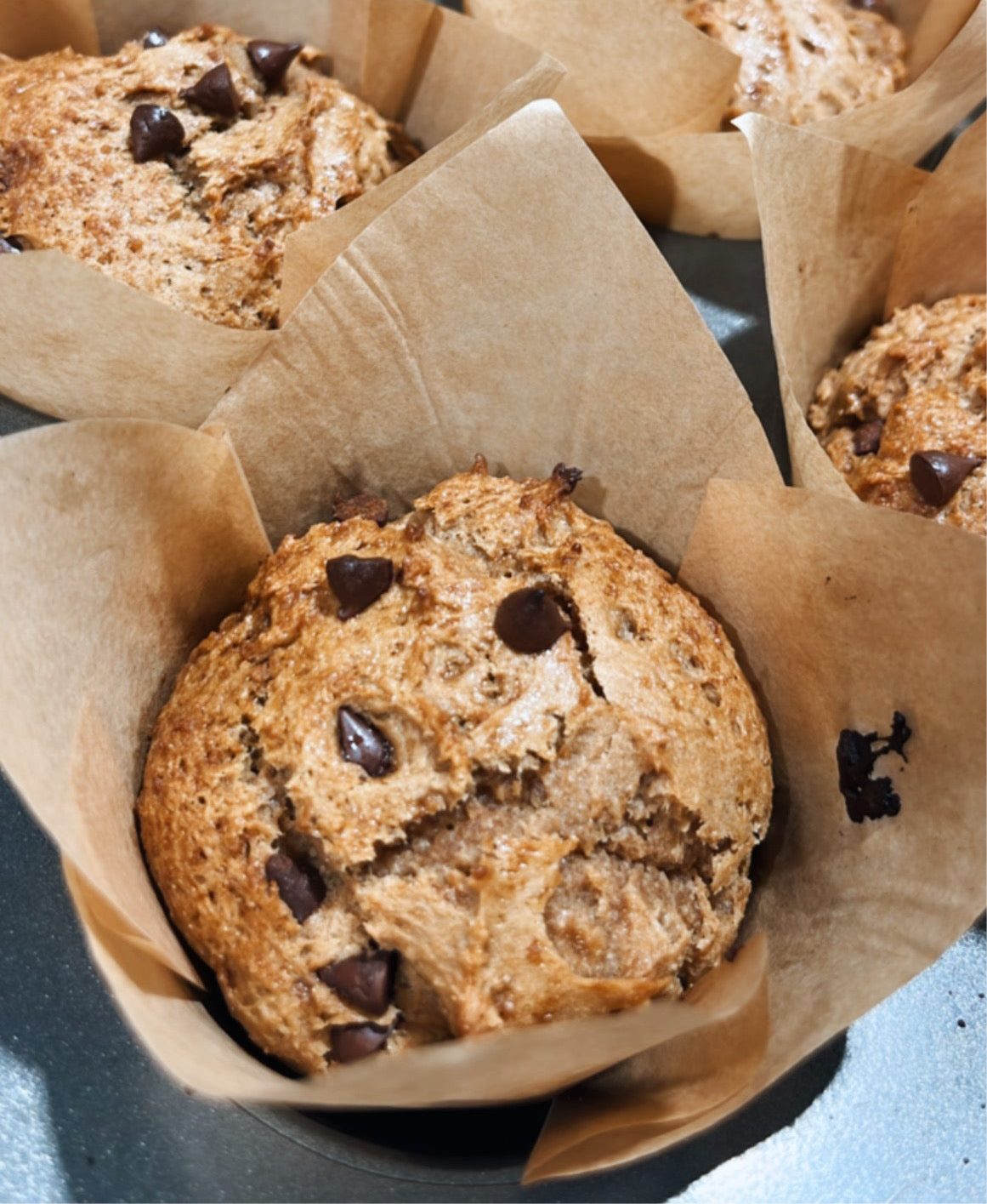 Muffins minis brisures de chocolat noir - Boîte de 6