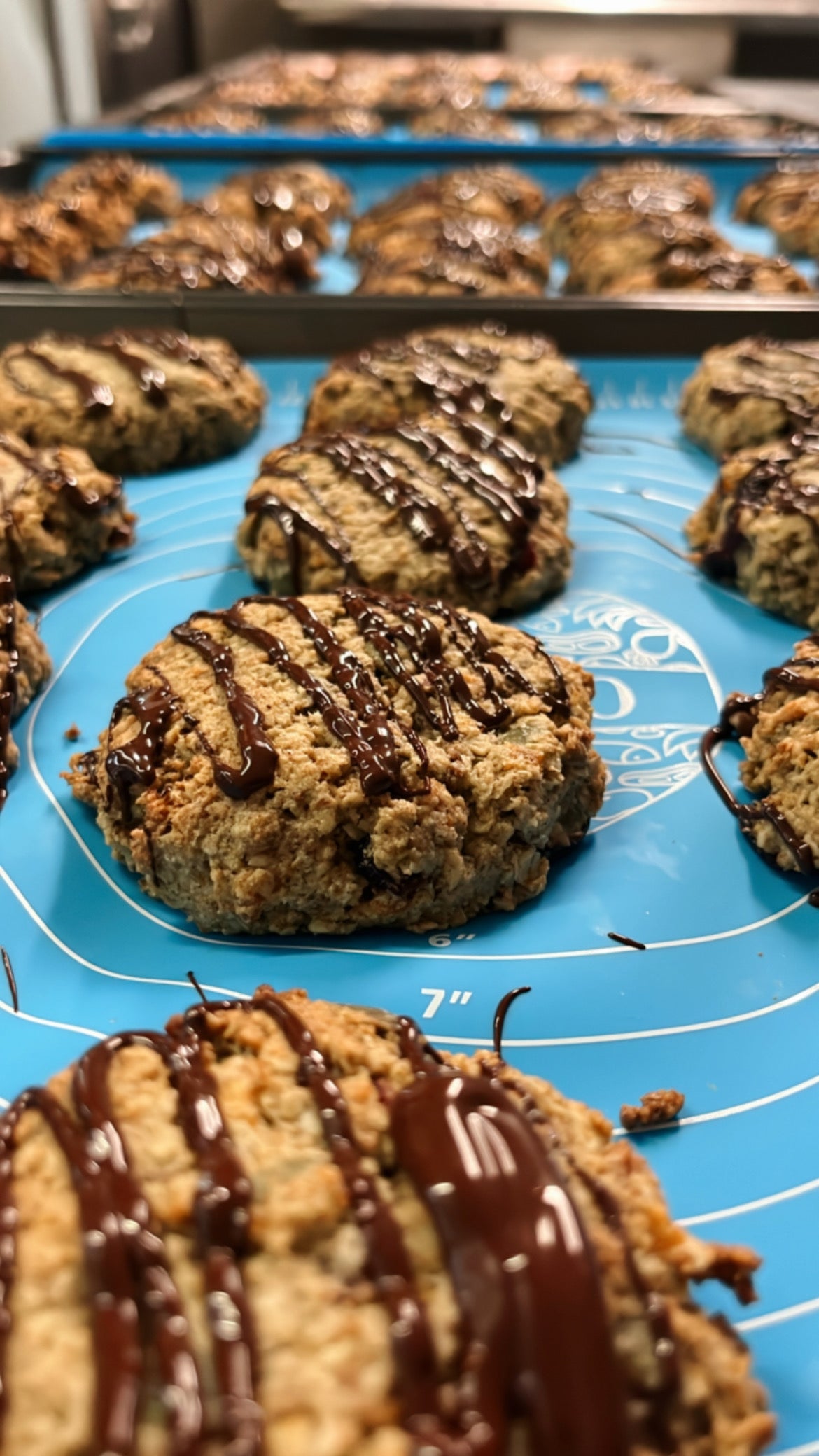 Galettes à la PVT, tahini & raisins - Boîte de 6 (🌱)