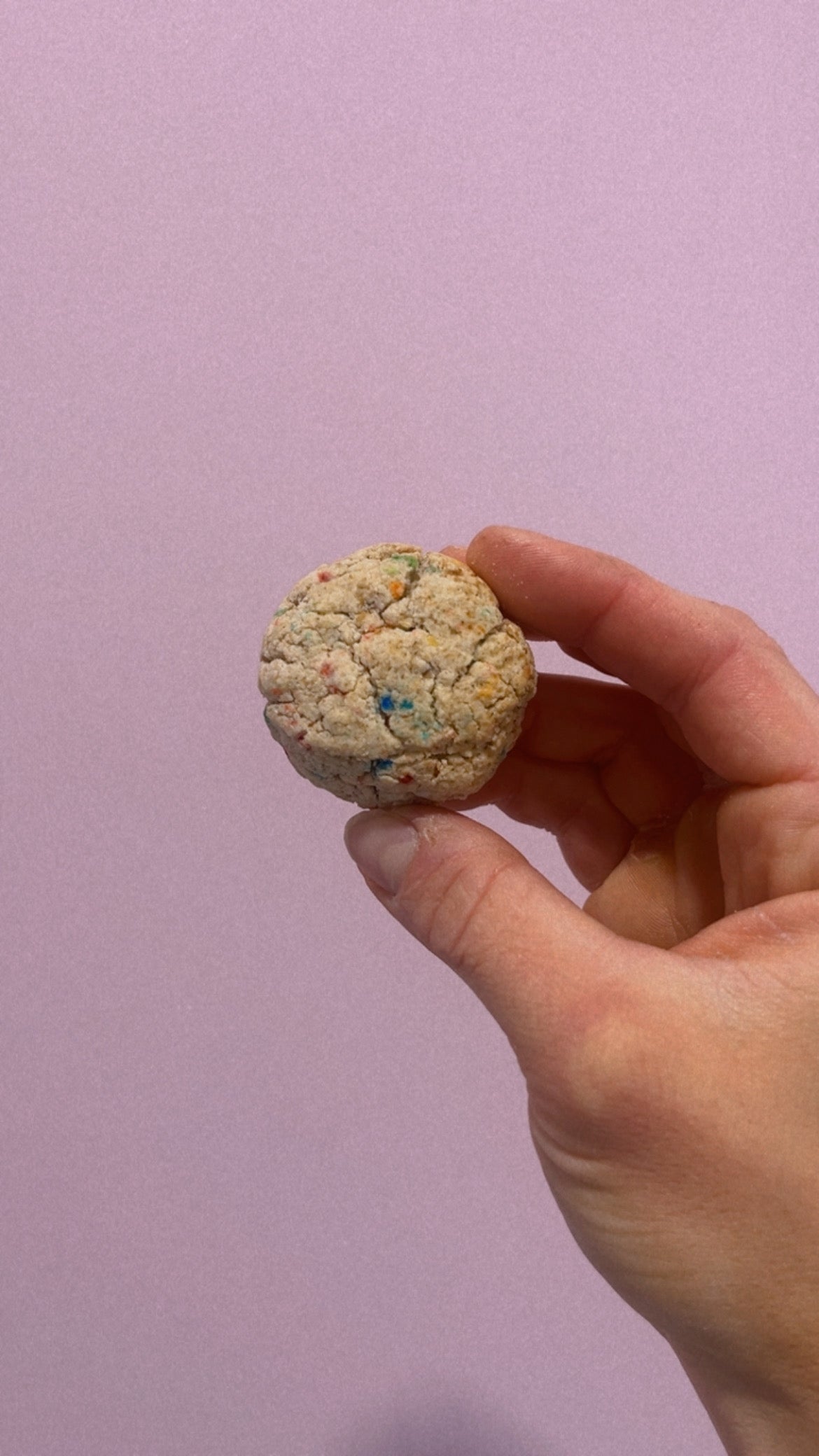 Échantillon - Biscuit '' Funfetti ''