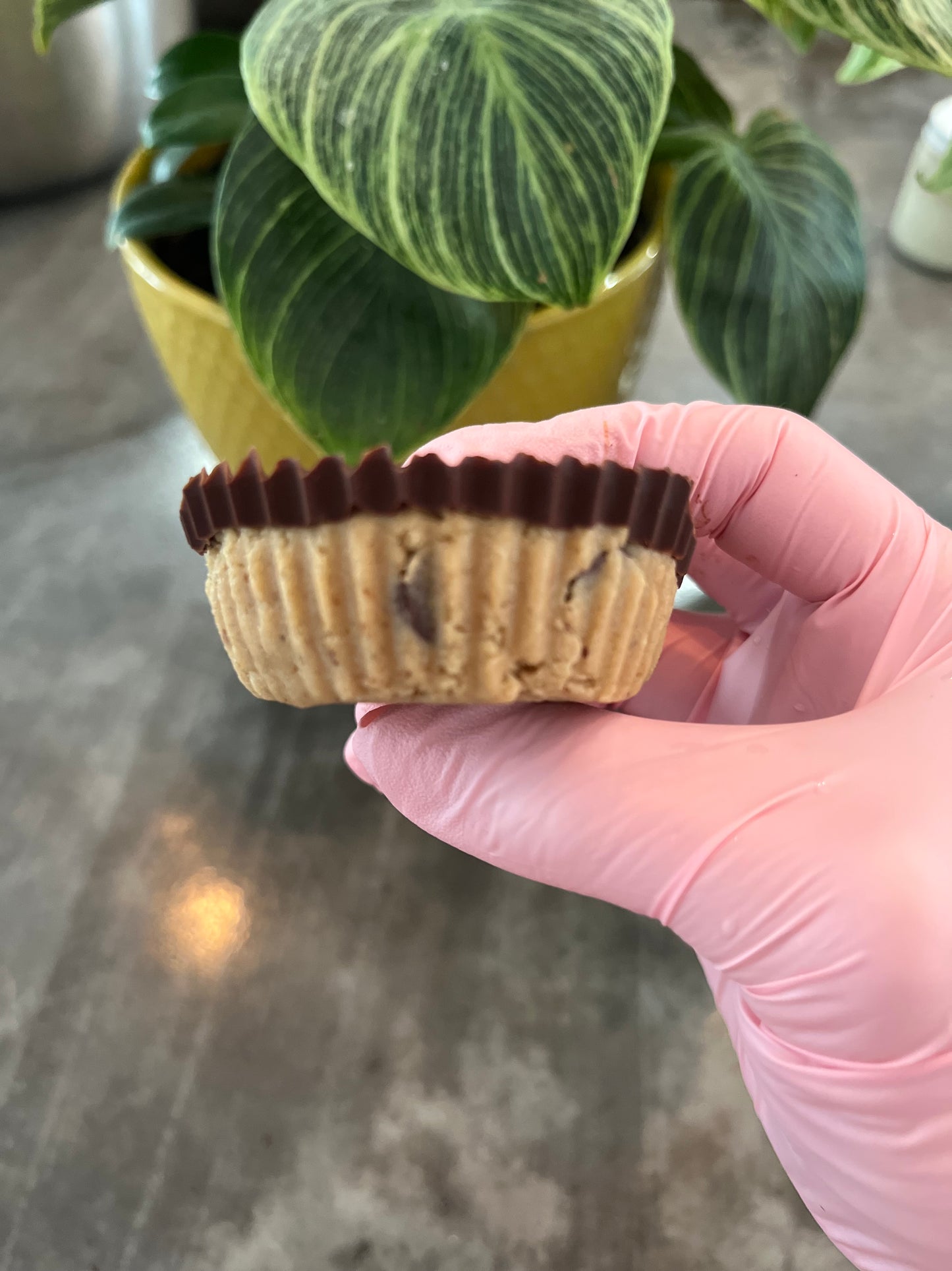 Cups « pâte à biscuit » - Boîte de 8 (🌱)