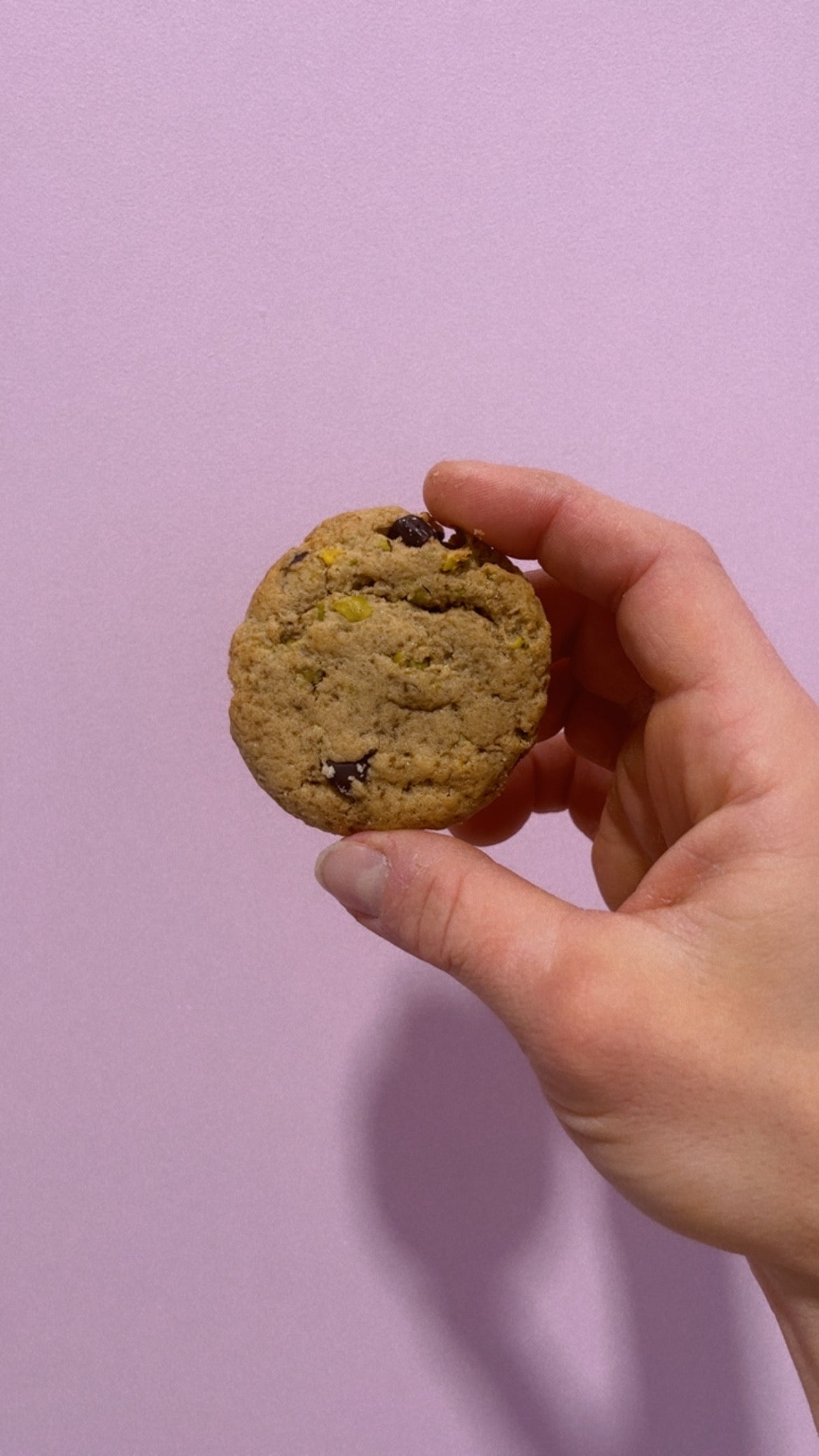 Échantillon - Mini biscuit pistache & chocolat noir (1)