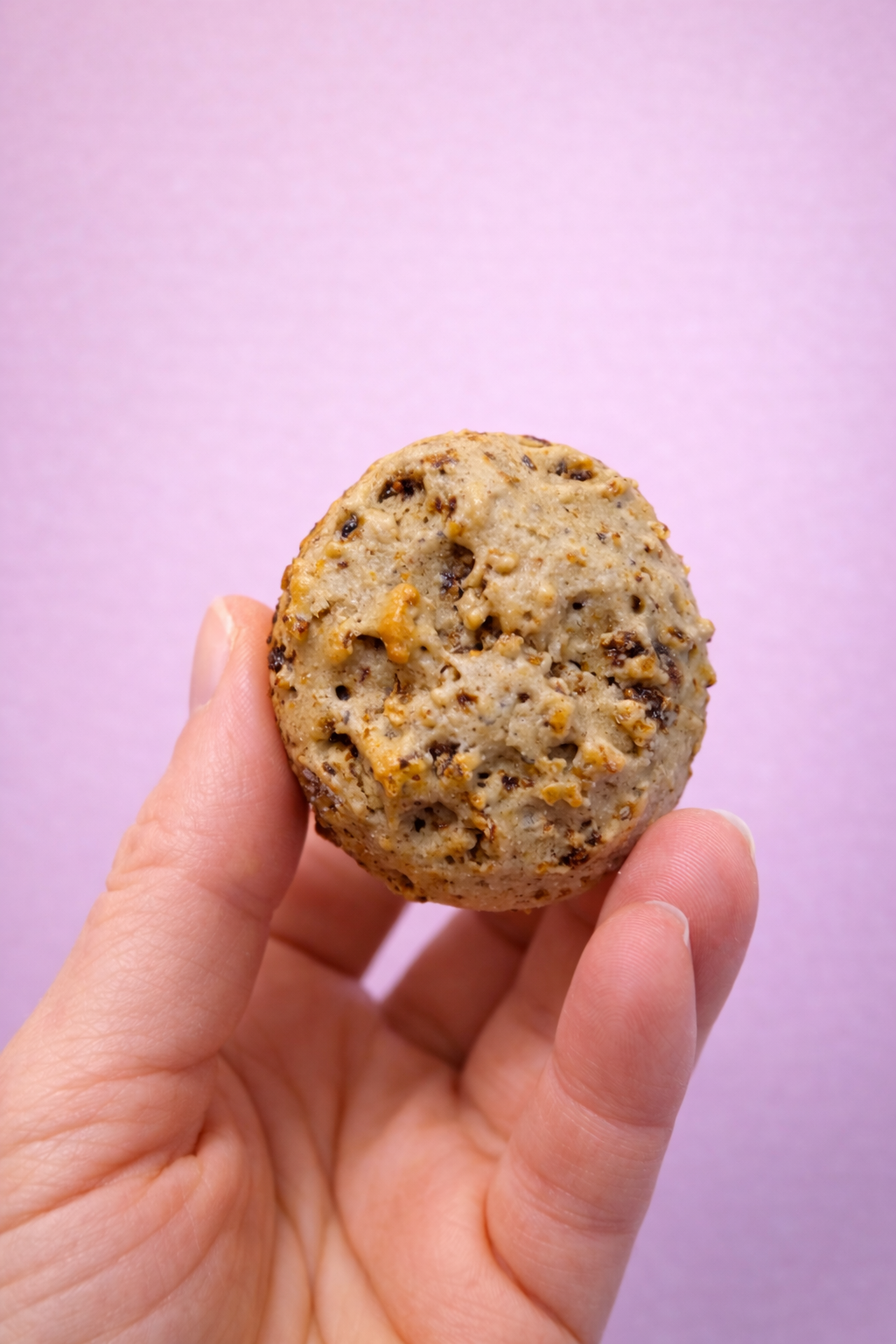 Échantillon - Mini galette aux figues & mûres séchées